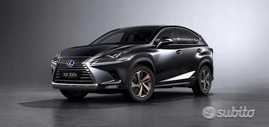 AUDI A4 B9 8W0 COMPETITION Cofano Paraurti PAS Mus