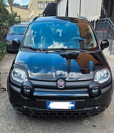 panda cross ibrida 2024