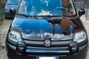 panda cross ibrida 2024