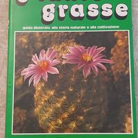 piante grasse 