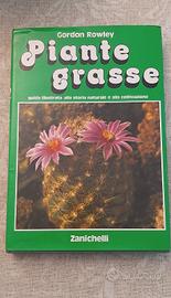 piante grasse 