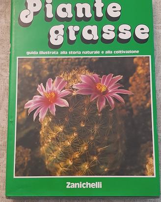 piante grasse 