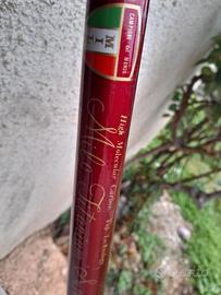 canna da pesca bolognese