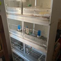 Batteria gabbie Terenziani