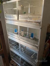 Batteria gabbie Terenziani