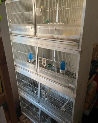 Batteria gabbie Terenziani