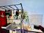 Immagine 13