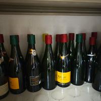 Bottiglie vino vuote e damigiane