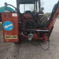 Taglia ripe bruni