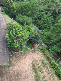 Terreno Finale Ligure frazione Calvisio