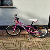 Bici da bambina 20 pollici con camhio Shimano