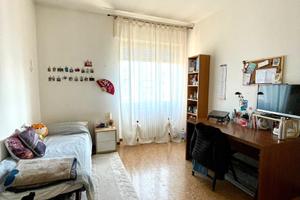 Camerasingola solo ragazze / no age