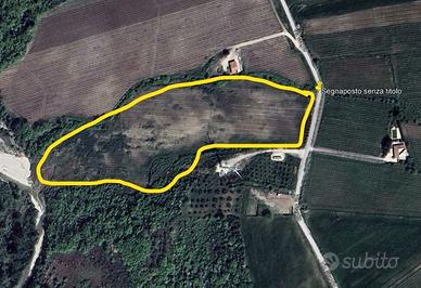 Vigneto circa tre ettari