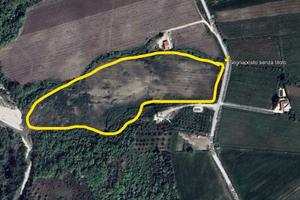 Vigneto circa tre ettari