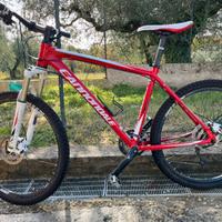 Muontain bike Cannondale