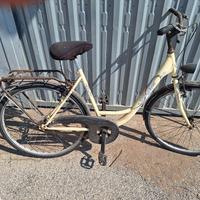 bicicletta da ragazza o donna