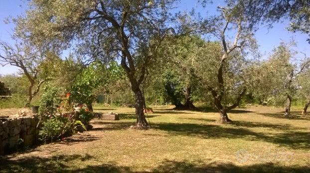 Terreno con fabbricato - Vista 4