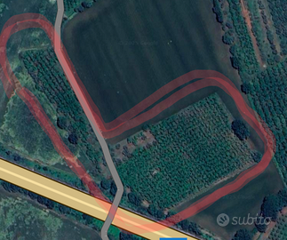 Terreno + piccolo rustico