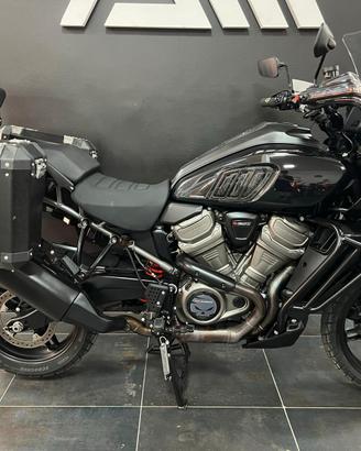 HARLEY-DAVIDSON PAN AMERICA 1250 - ANNO 2021