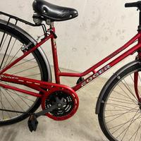 Bicicletta Rogers