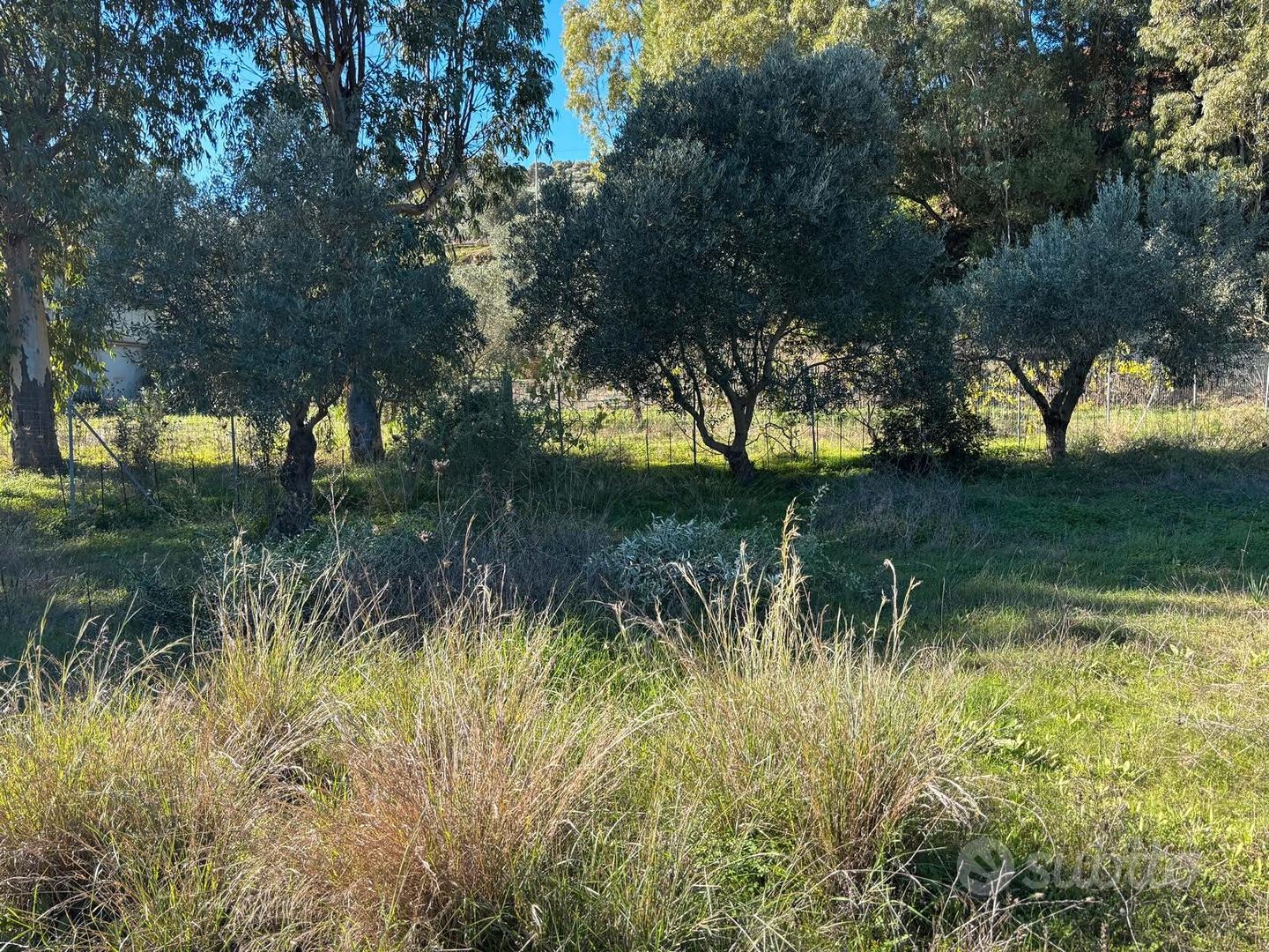 Terreno edificabile Borgo Rurale Stazione Vecchia - Vista 4