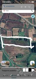Terreno agricolo