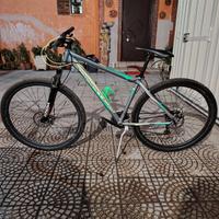 Mountain bike adriatica 29"