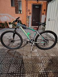 Mountain bike adriatica 29"