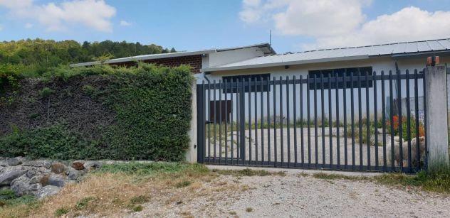 Capannone con terreno