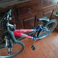 bicicletta ragazzo atala 24