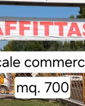 Locale commerciale con ampio piazzale