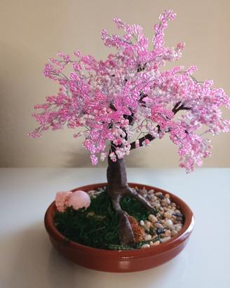 alberi tipo bonsai.