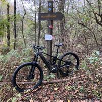 Orbea wild h10 s/m