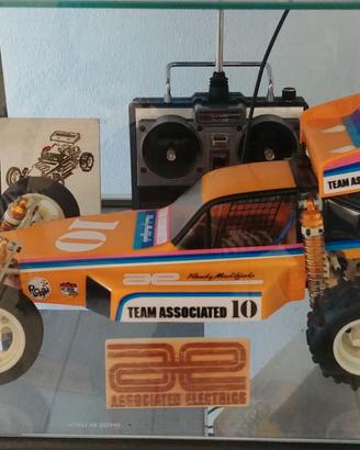 Associated rc10 gold