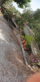 tettoia cemento armato