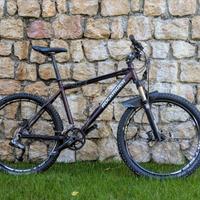 MTB 26" custom con telaio RockRider 8.1