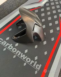 Parafango anteriore carbon Panigale Streetfighter