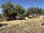 Immagine 16