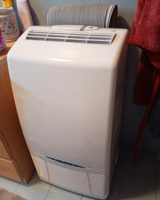 condizionatore portatile