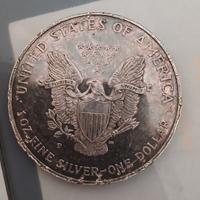 Moneta da 1 dollaro in argento puro degli Stati Un