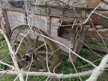 vecchio carro da buoi