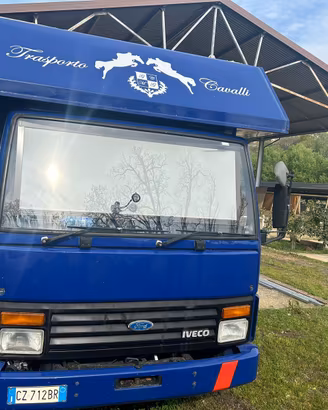 Can trasporto cavalli
