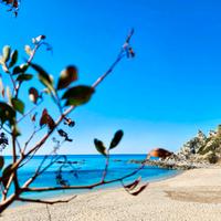 Loc. Capo Vaticano Tropea Case vacanze Sangeni