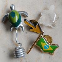 Set di spille a tema bandiera Brasiliana e tartaru