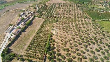 TERRENO A ALCAMO