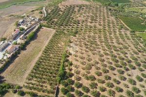 TERRENO A ALCAMO
