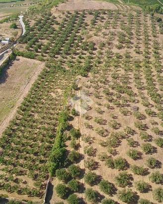 TERRENO A ALCAMO