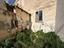 Immagine 12