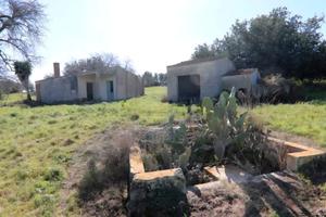 Casale Cascina con ampio terreno agricolo