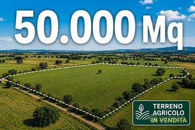 Terreno agricolo
